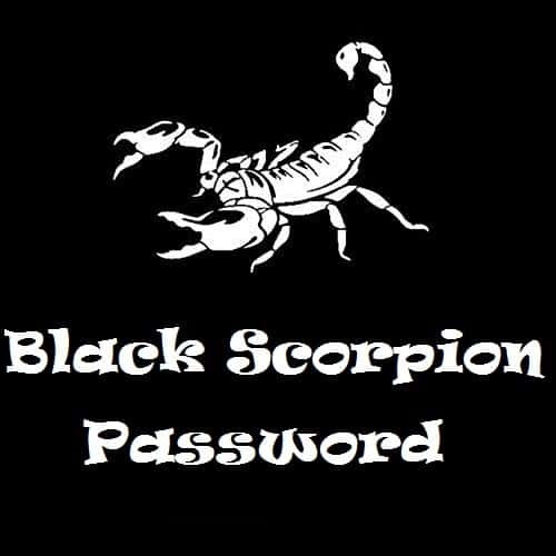 دانلود آهنگ بی کلام Black Scorpion به نام Password